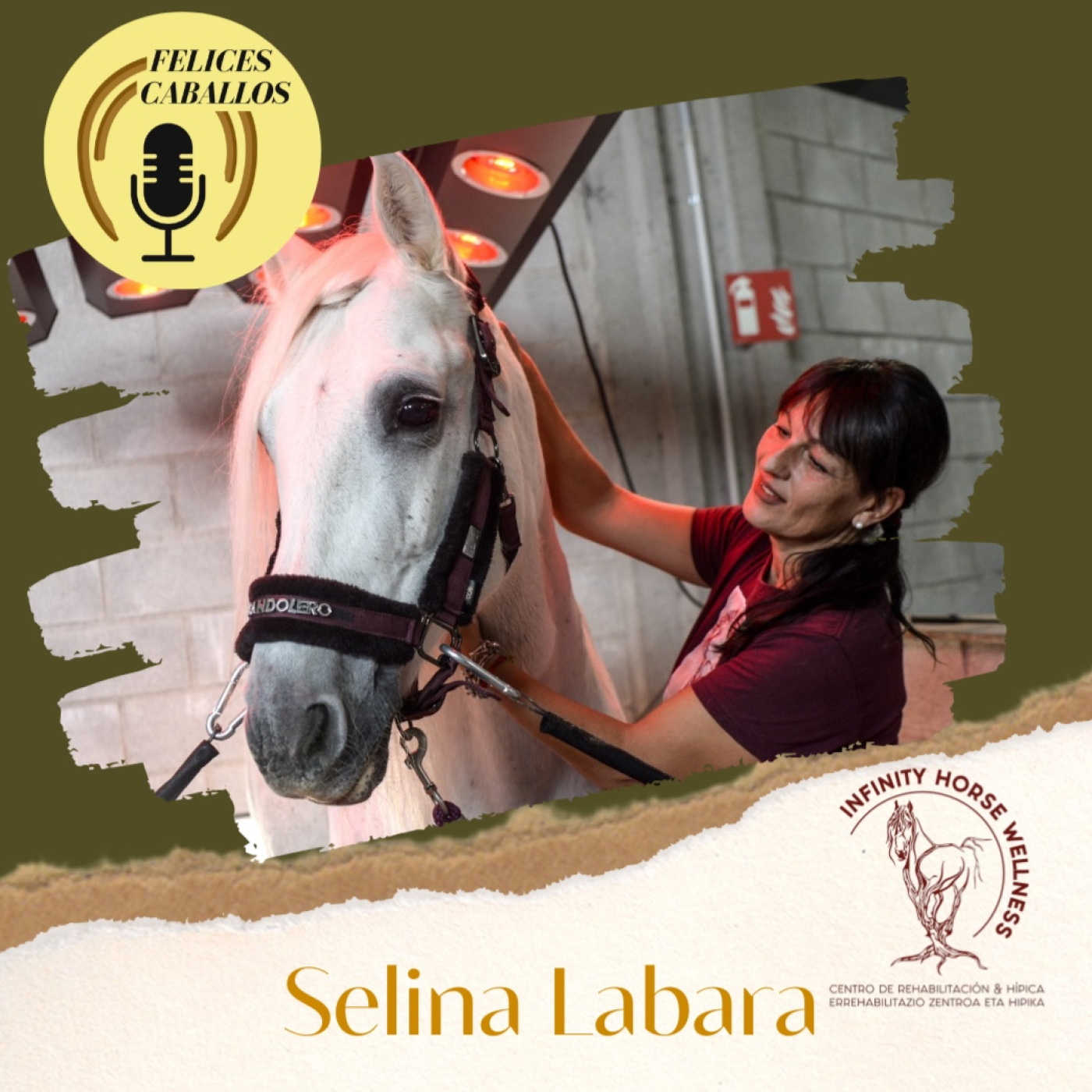 Felices Caballos