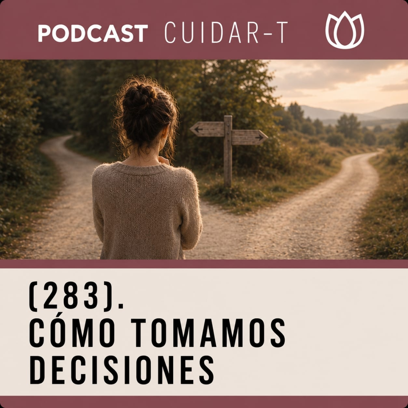 283 Cómo tomamos decisiones