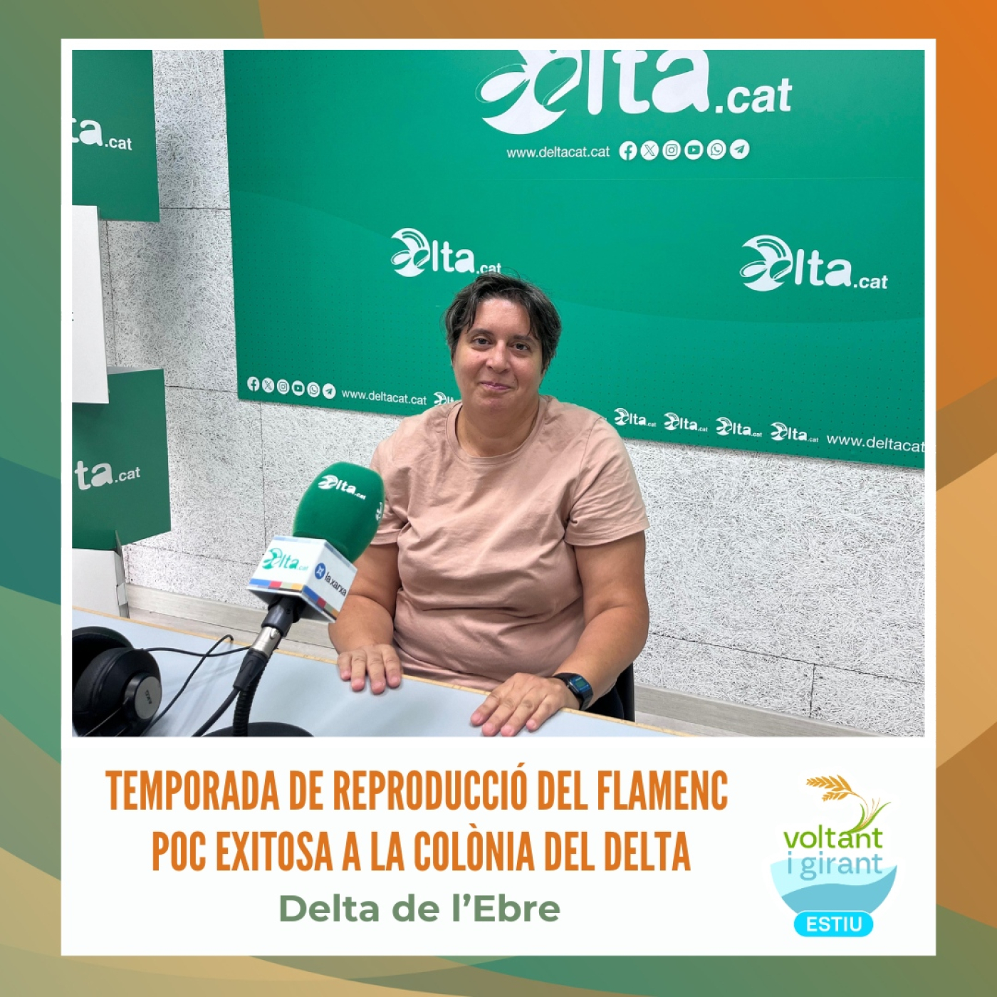 Temporada de reproducció del flamenc poc exitosa a la colònia del Delta episode artwork