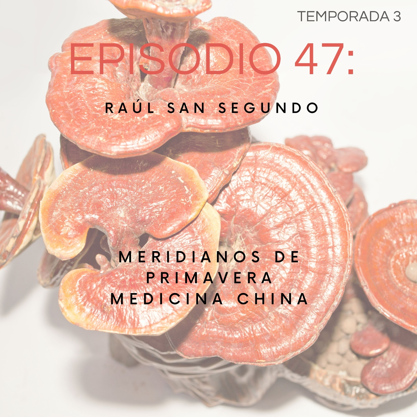 Vibra:el Podcast