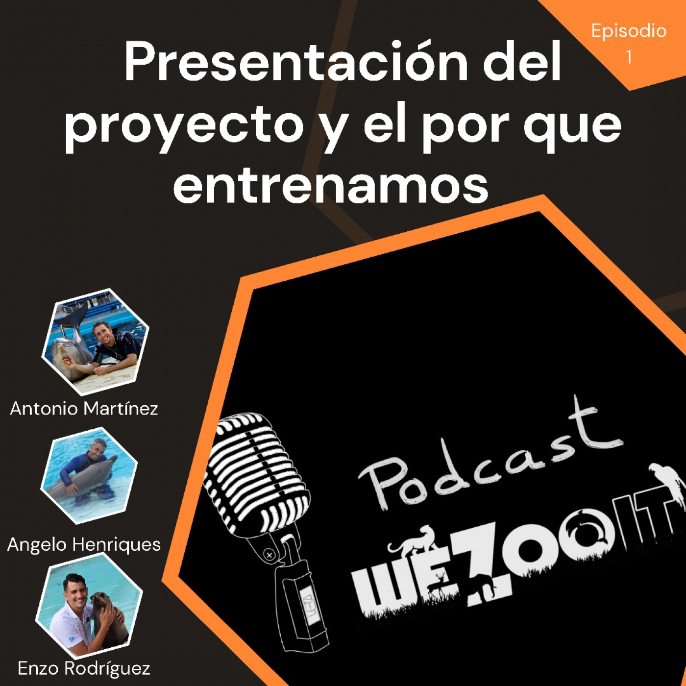 WeZooit Podcast