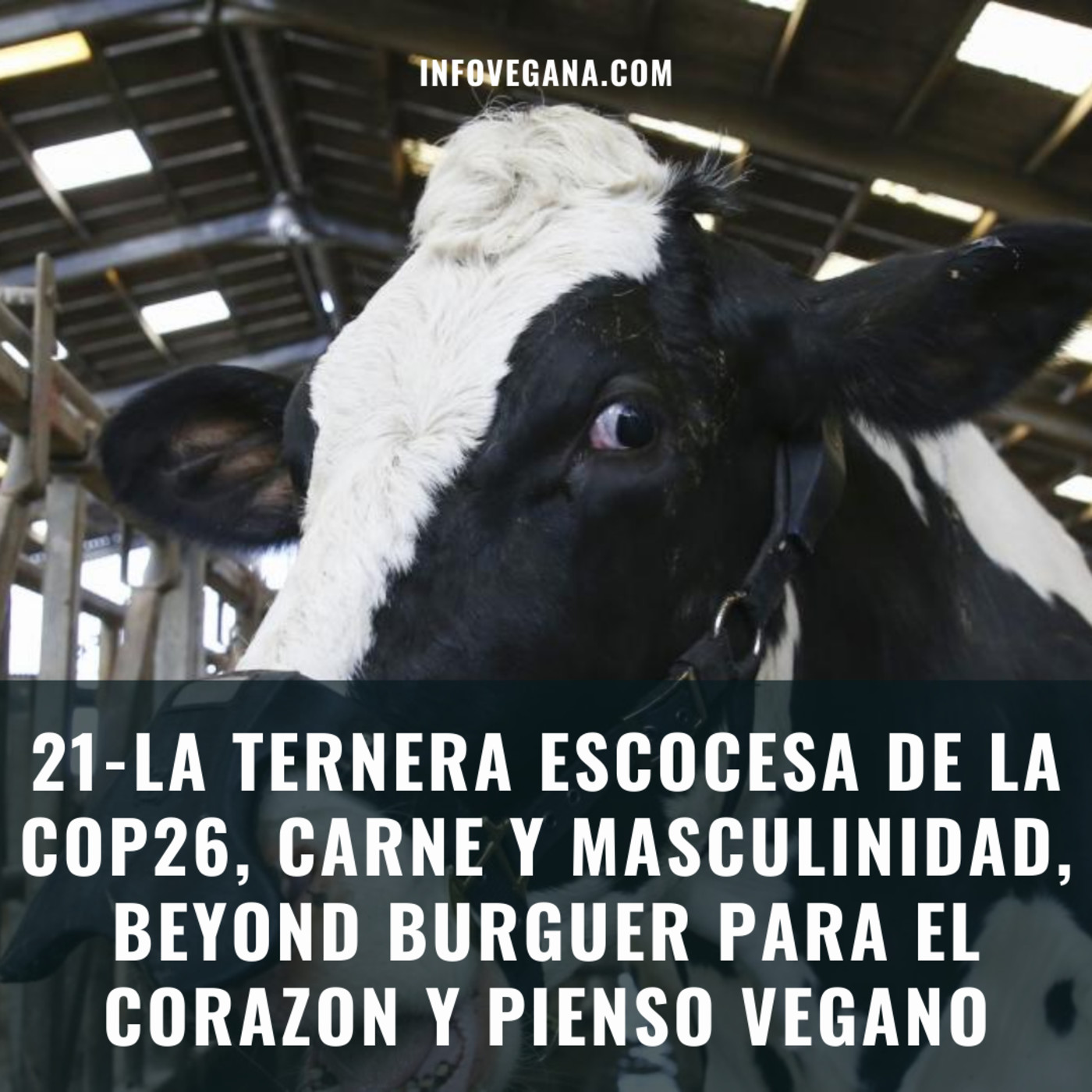 Infovegana, podcast de veganismo y sostenibilidad