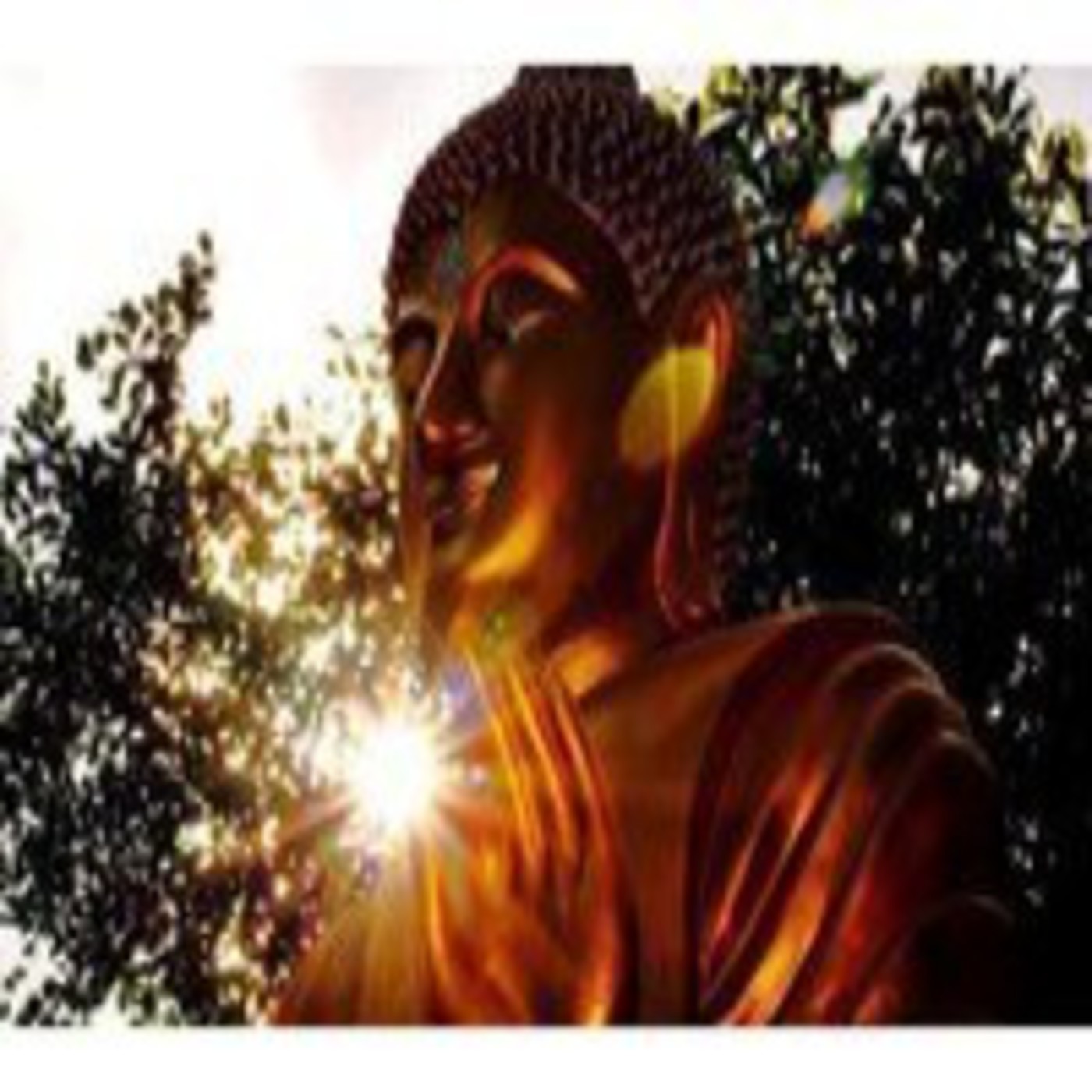 Discursos del Buddha. Discursos de la Iluminación. episode artwork