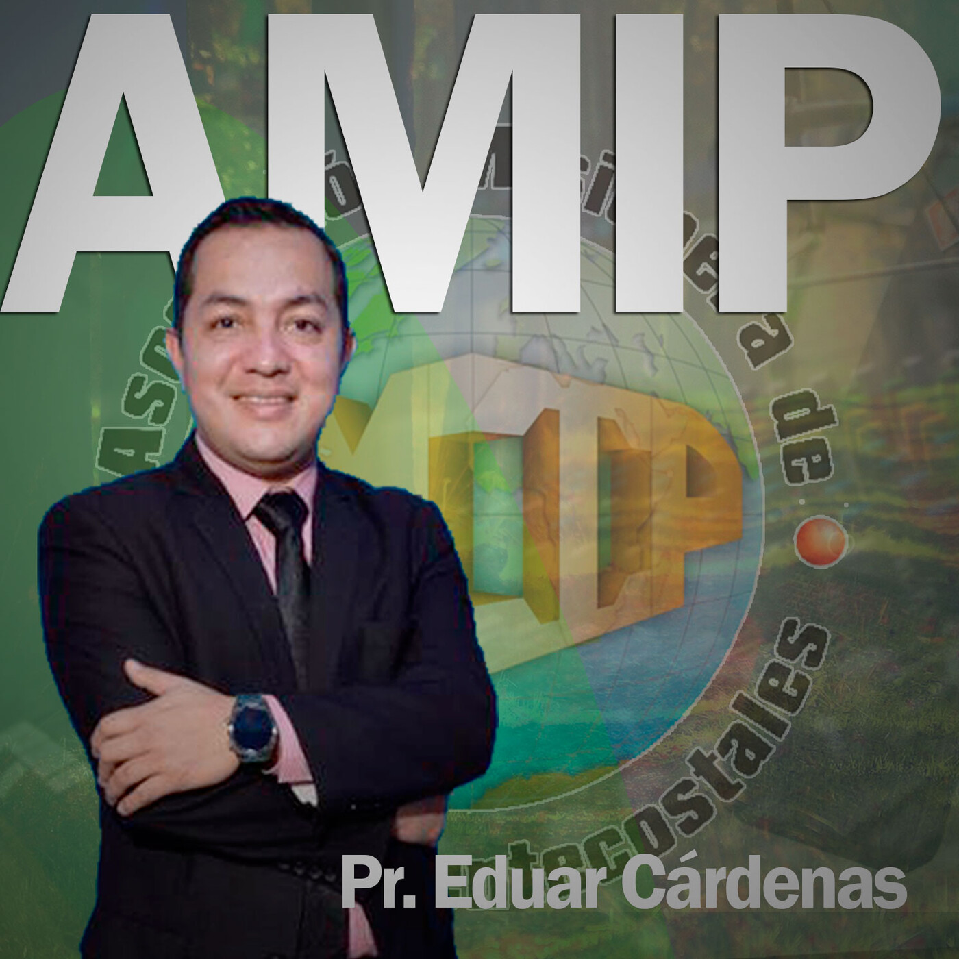 AMIP Institucional