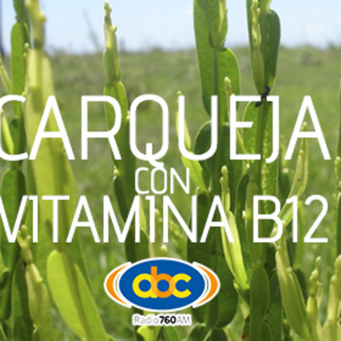 El Ángel de tu Salud - CARQUEJA CON B12 I episode artwork