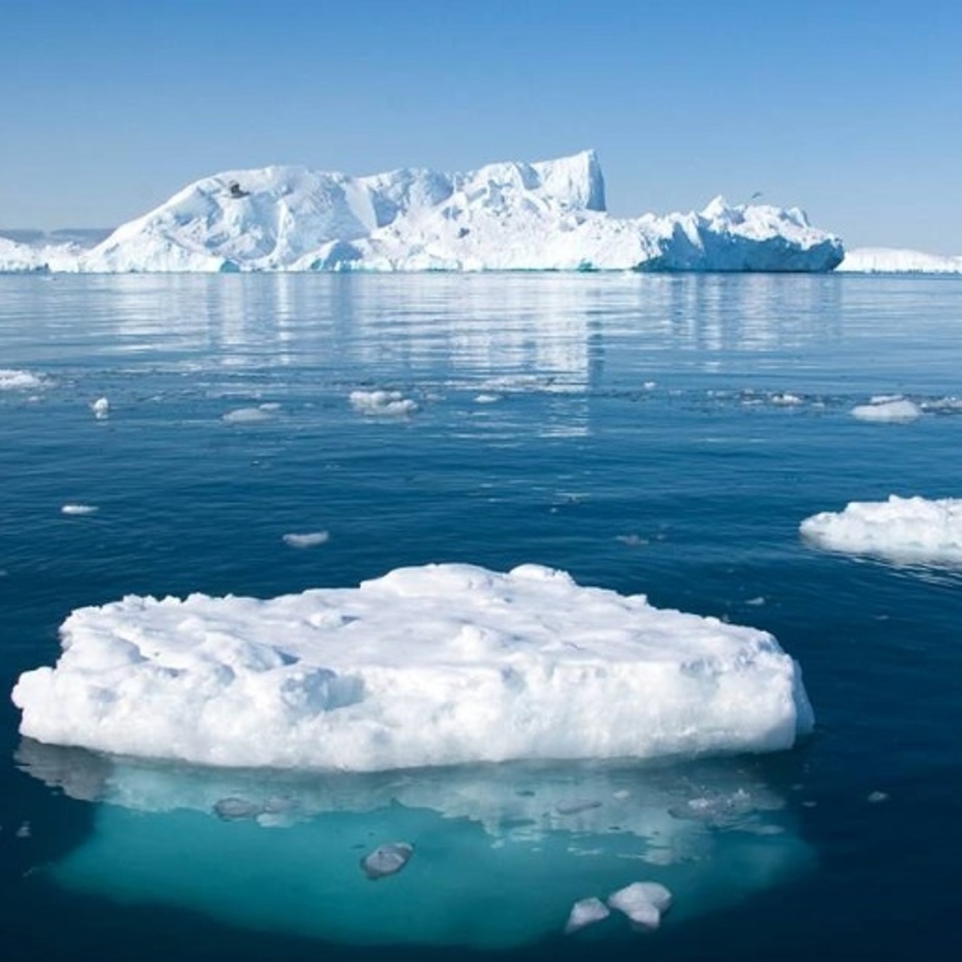 Universo Oceánico (cap 3) #ciencia #naturaleza #podcast #documental episode artwork