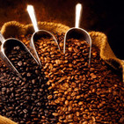 Historia del café