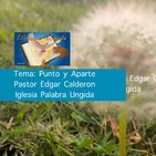 Tema: Punto y Aparte