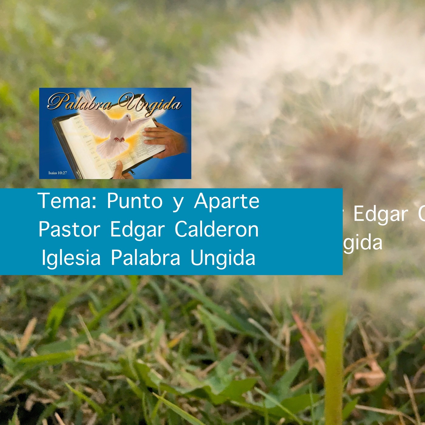 Tema: Punto y Aparte episode artwork