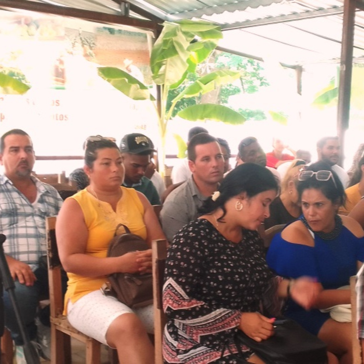 Celebró Cienfuegos activo juvenil campesino