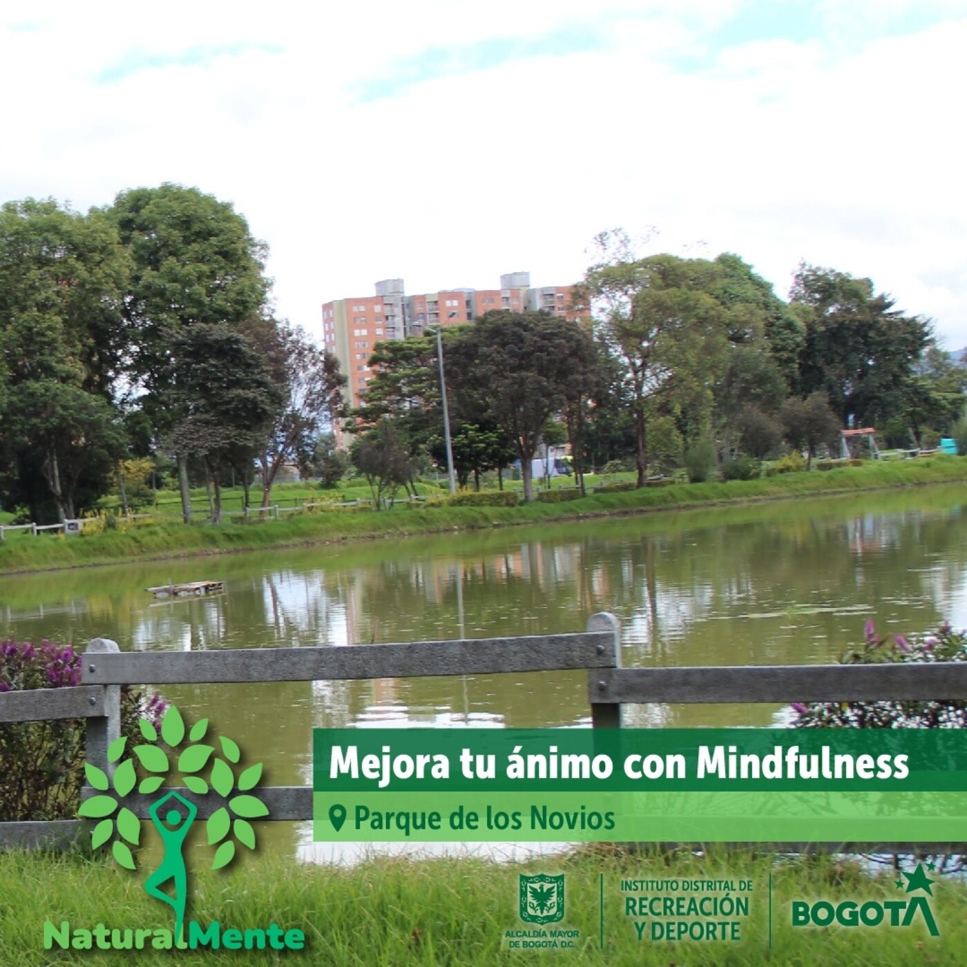 Mejora tu ánimo con Mindfulness