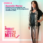 Inmunonutrición: microbiota, probióticos, prebióticos y simbióticos por qué están en boca de todos.