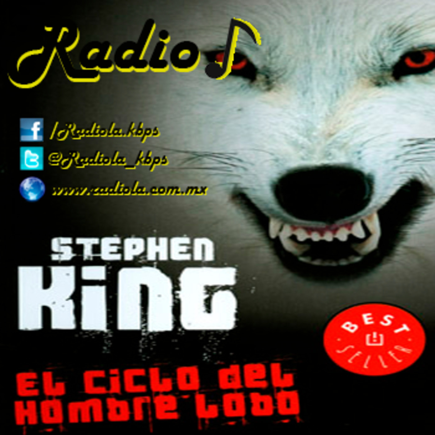 Redescubriendo Libros