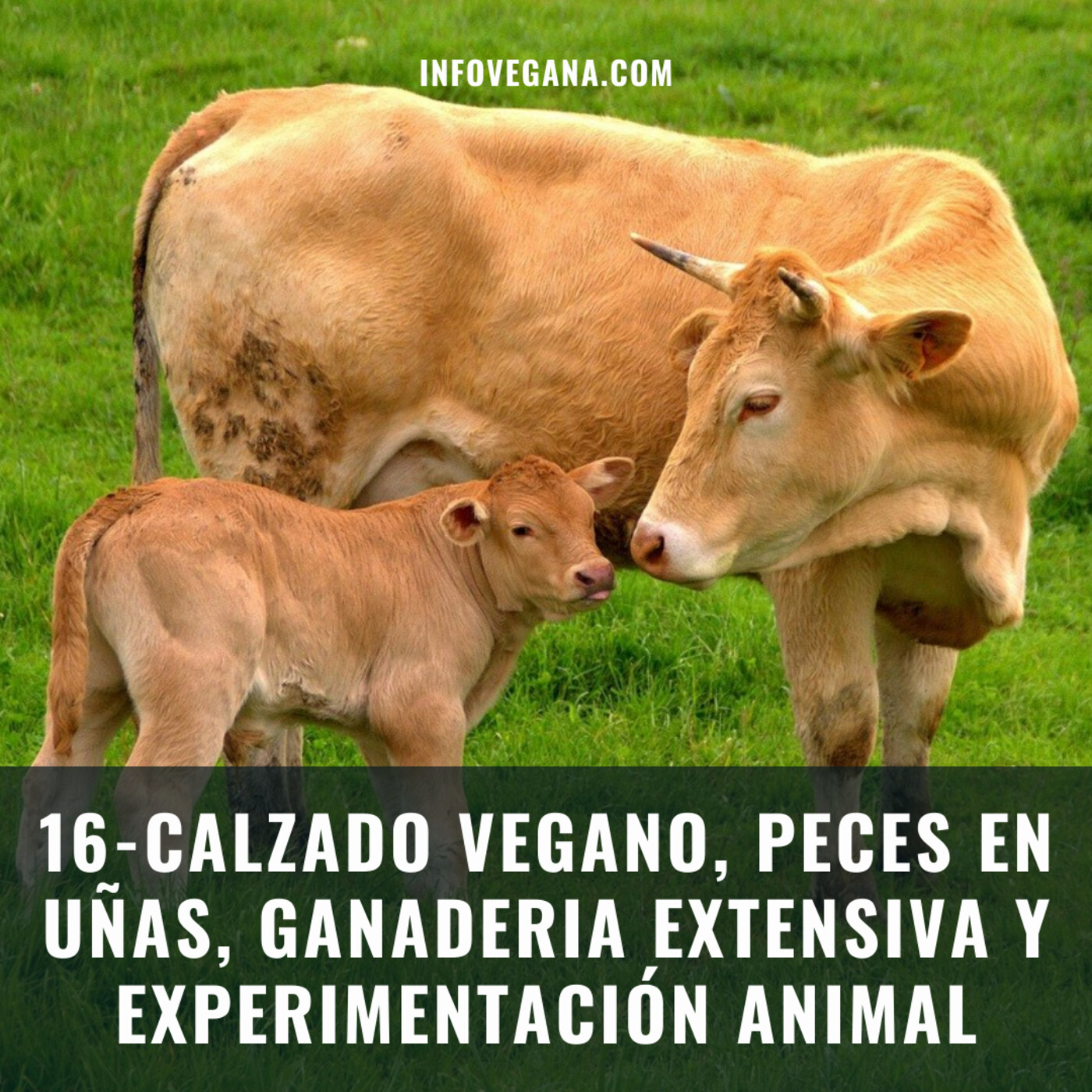 Infovegana, podcast de veganismo y sostenibilidad