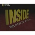 Dentro de Marihuana