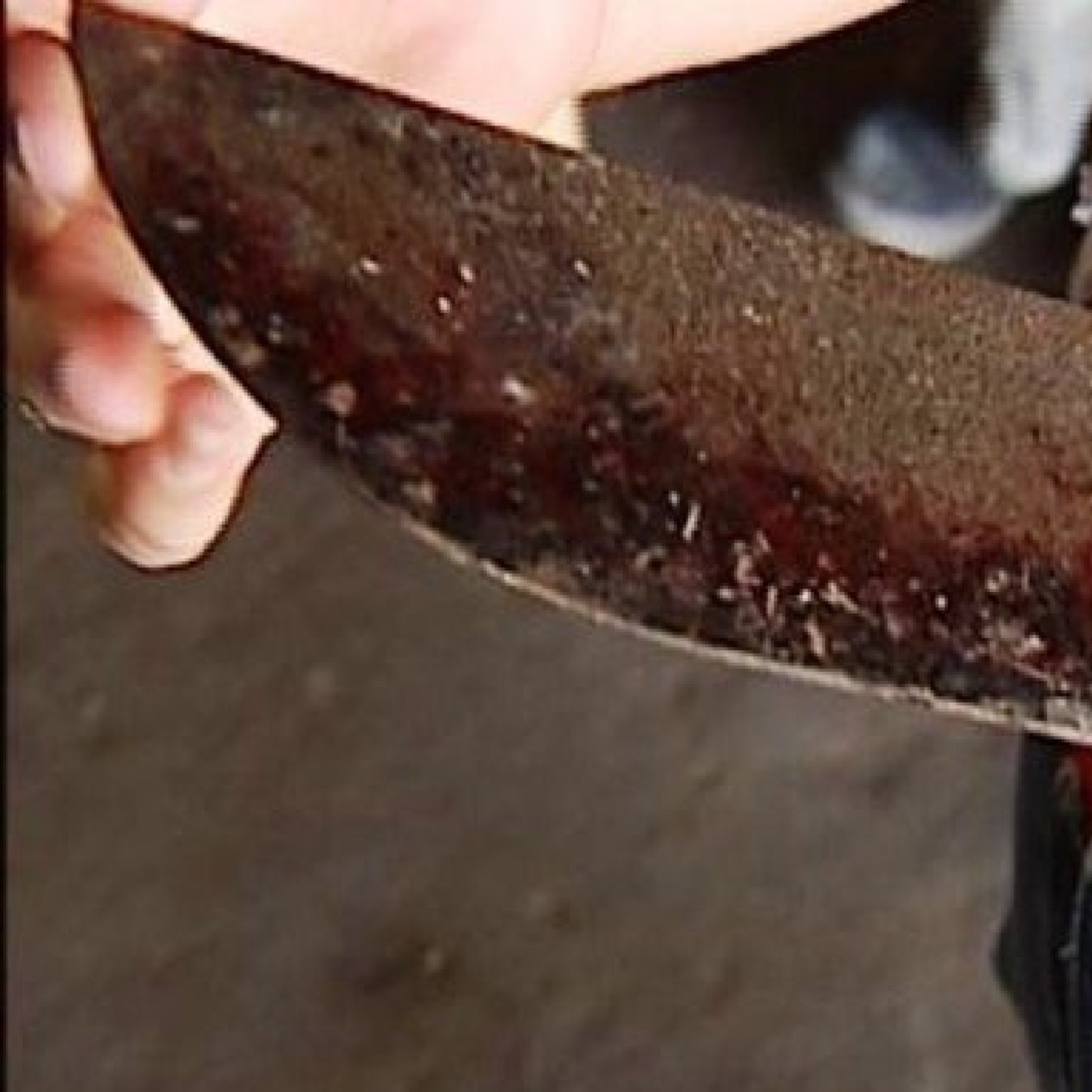 Dos hombres se atacan usando el mismo machete episode artwork
