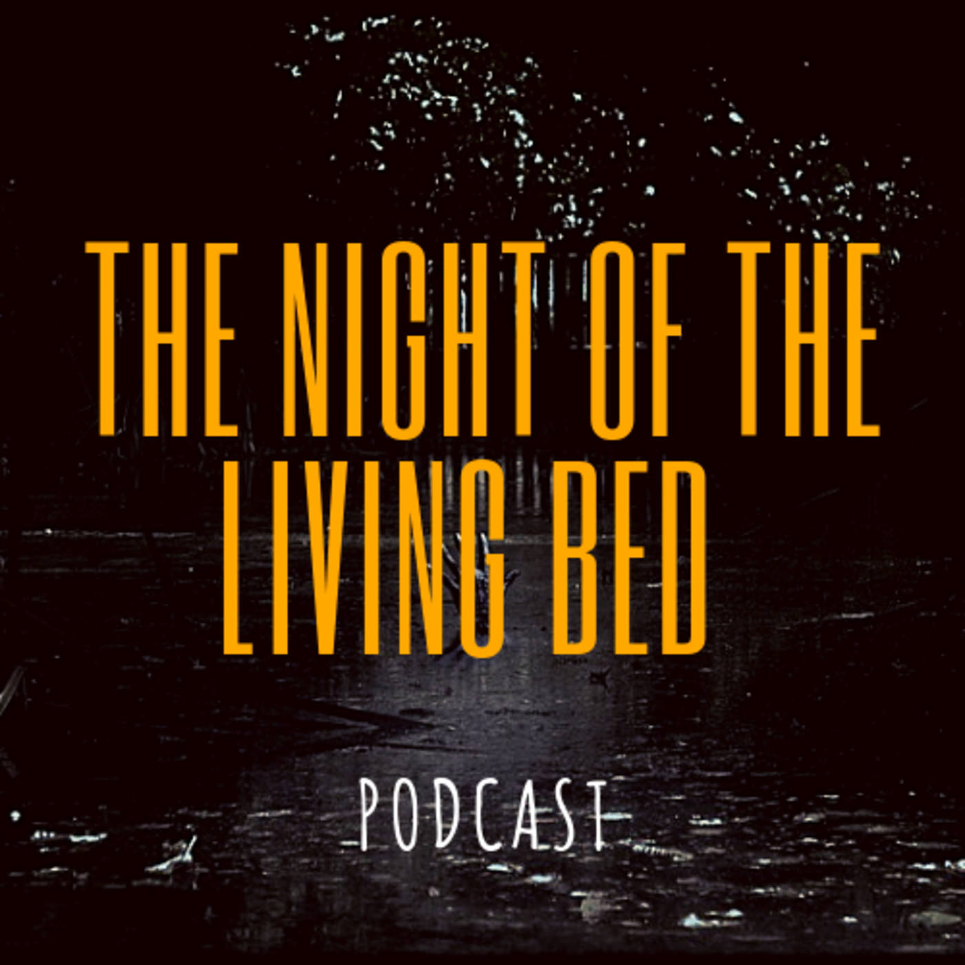 The Night Of The Living Bed