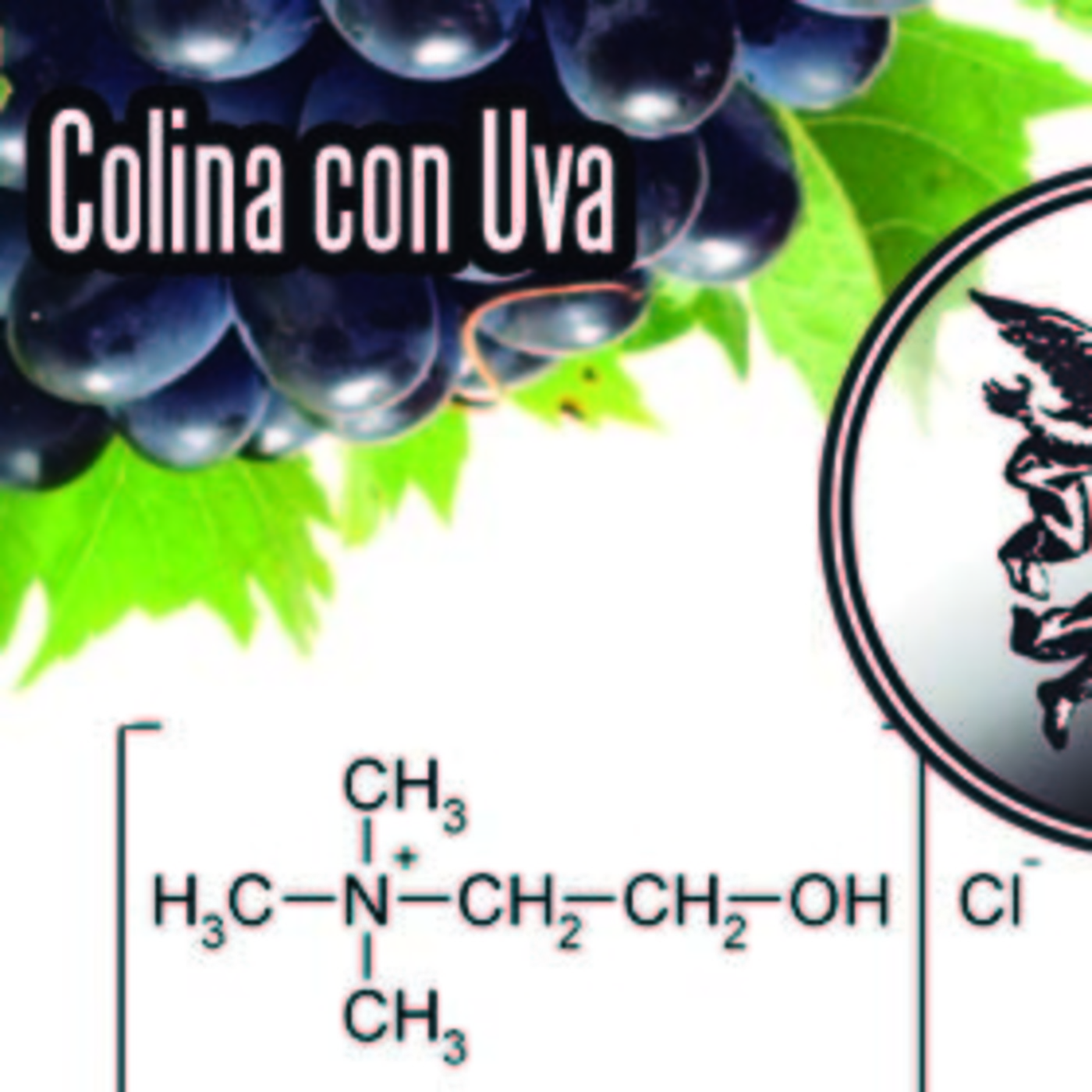 El Ángel de tu Salud - COLINA CON UVA episode artwork