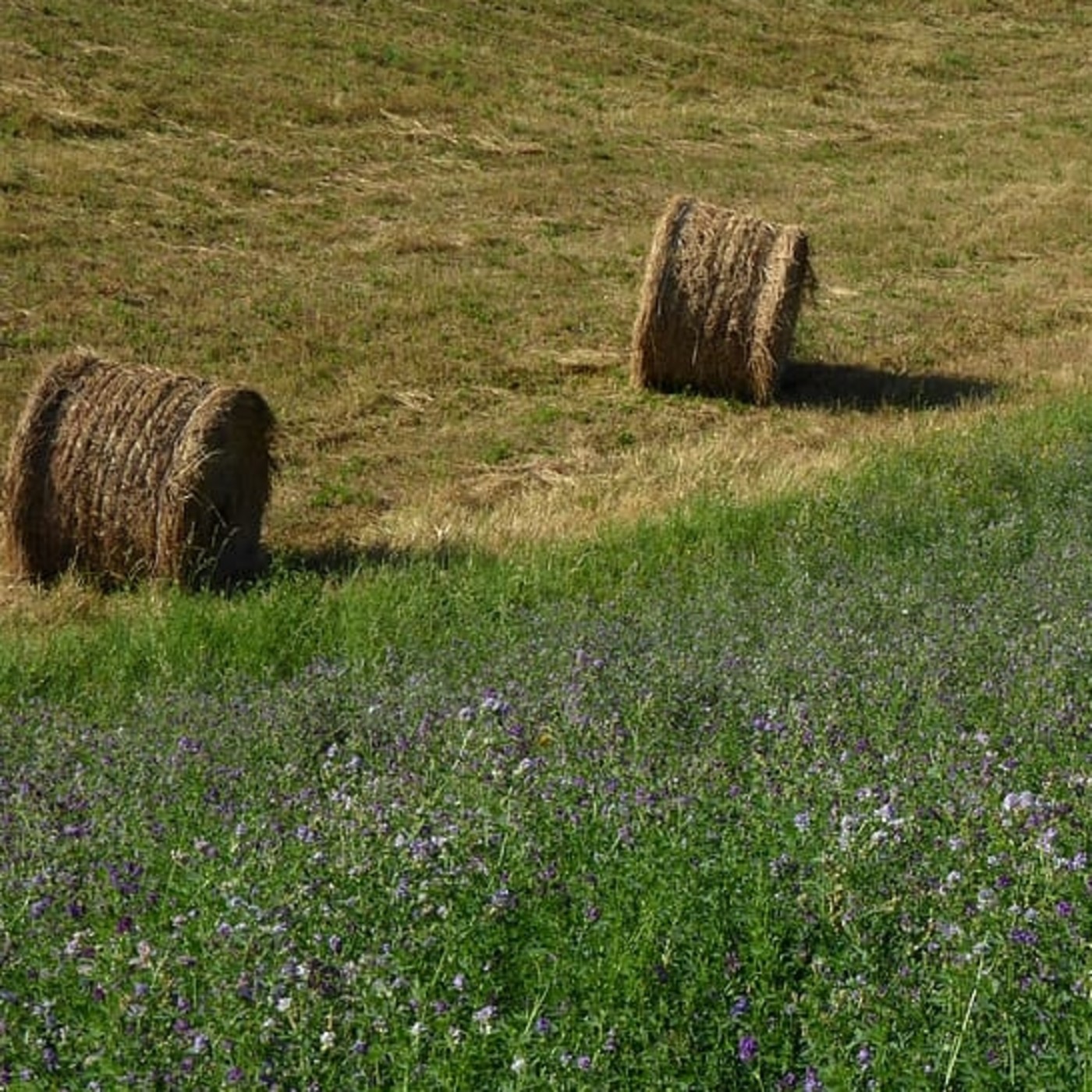 Desde aquí te cuento