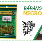 El Ángel de tu Salud - RÁBANO NEGRO*