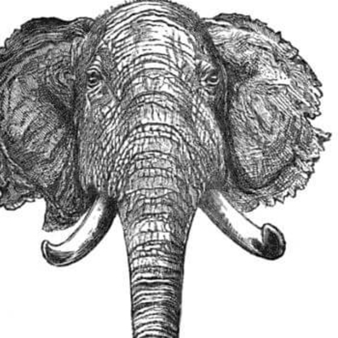 RadioValis