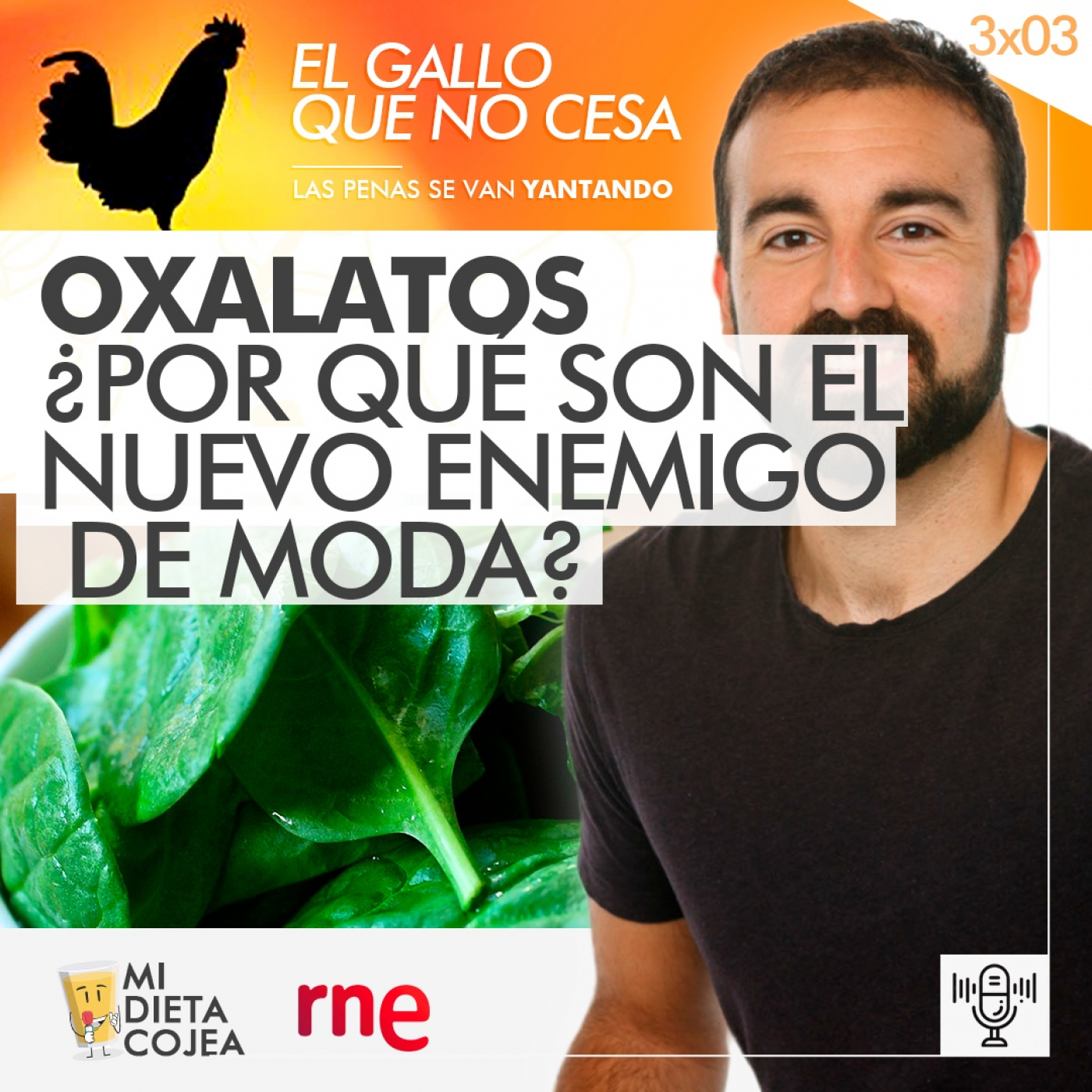 Mi Dieta Cojea radio (Nutrición y Dietética)