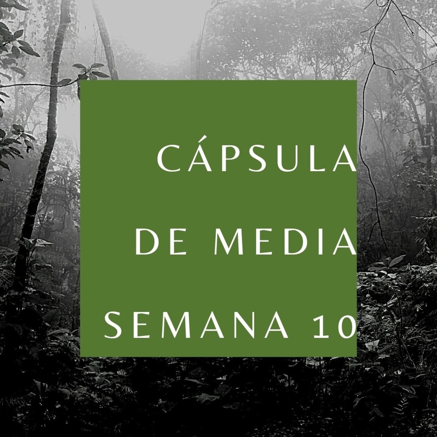 Cápsulas de media semana