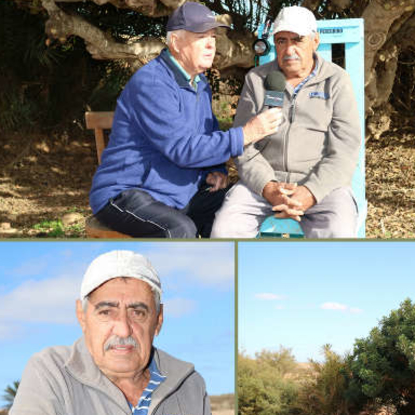 El Rincón de Tamariche