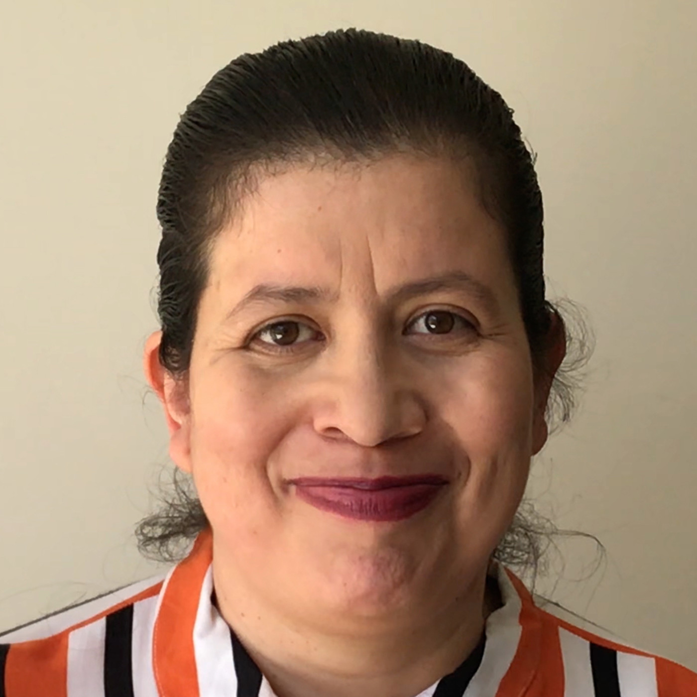 Programa Historia del Perú