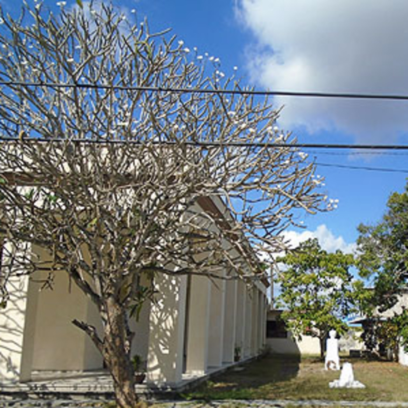 Radio Guáimaro