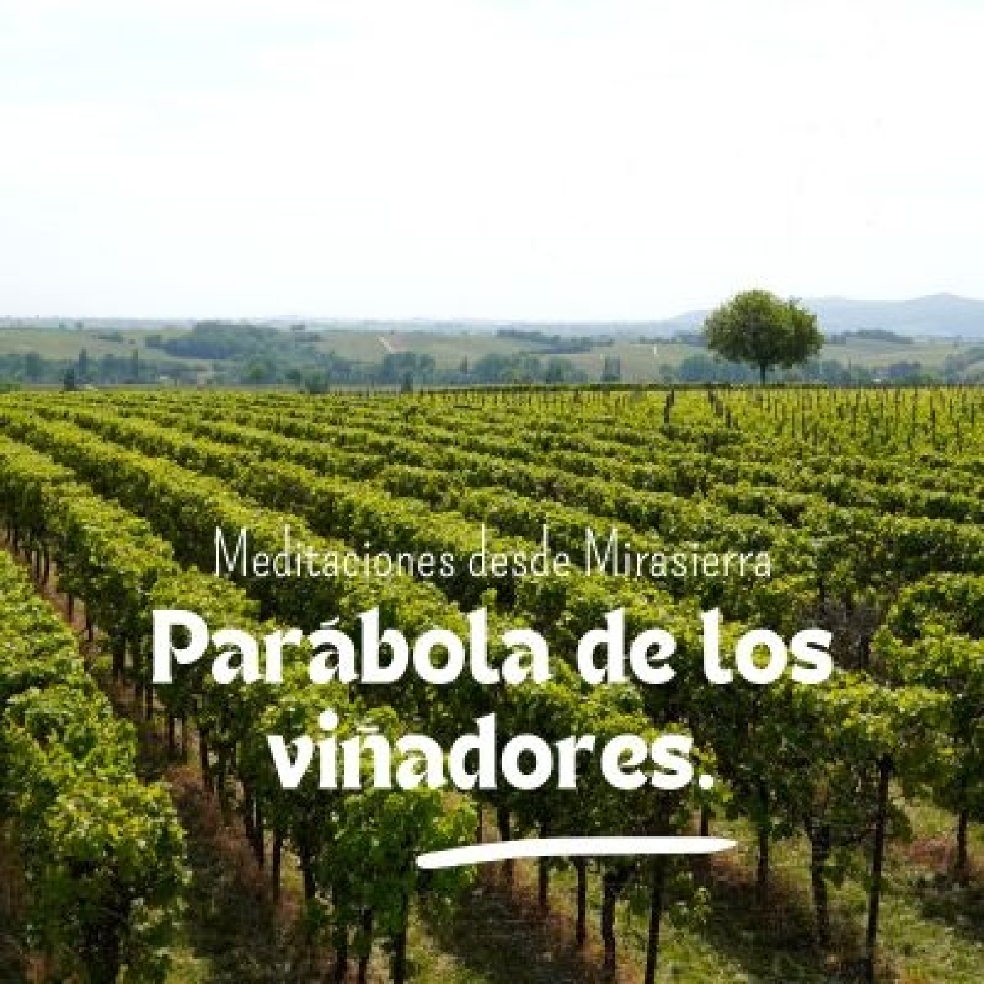 Meditaciones desde Mirasierra