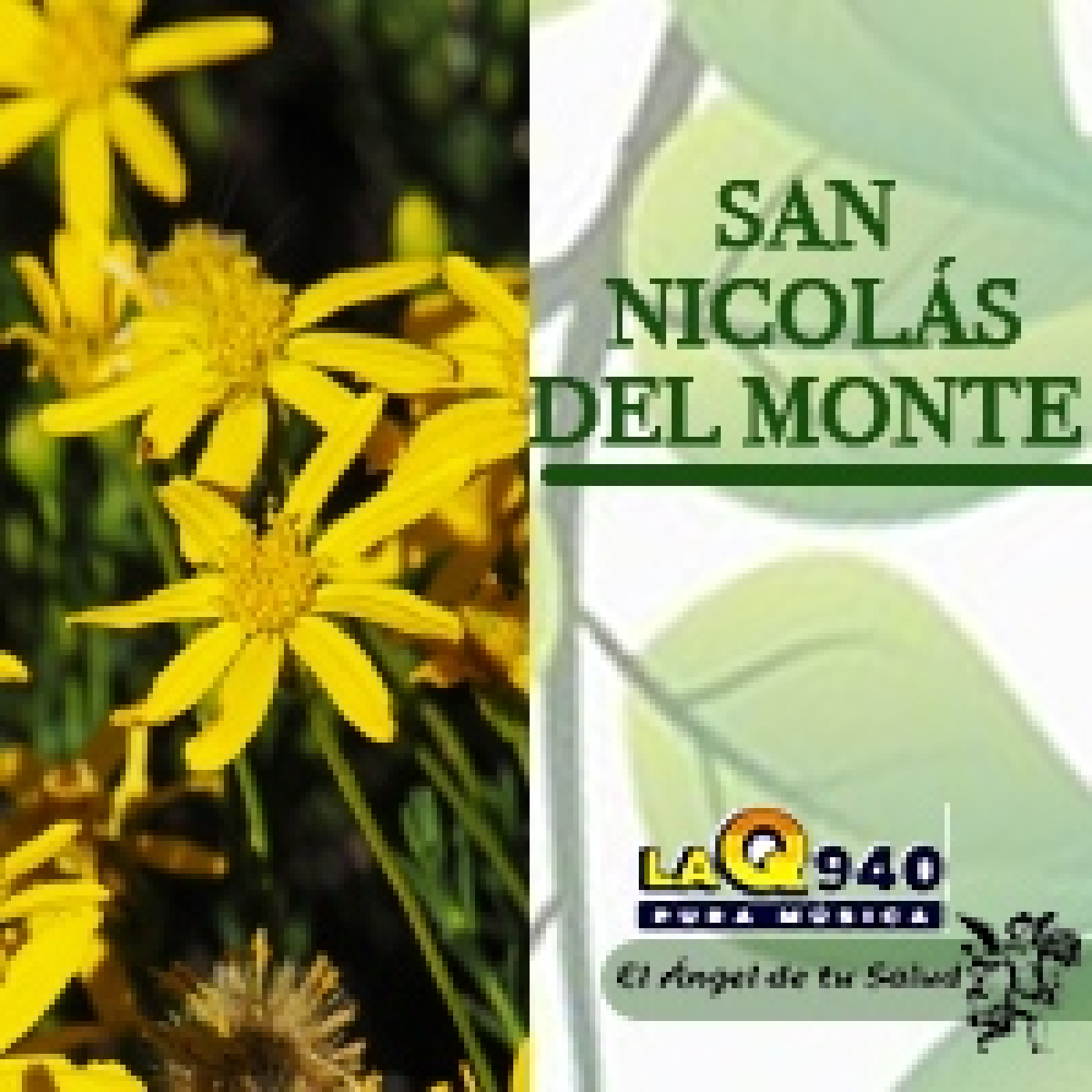 El Ángel de tu Salud - San Nicolás del Monte** episode artwork