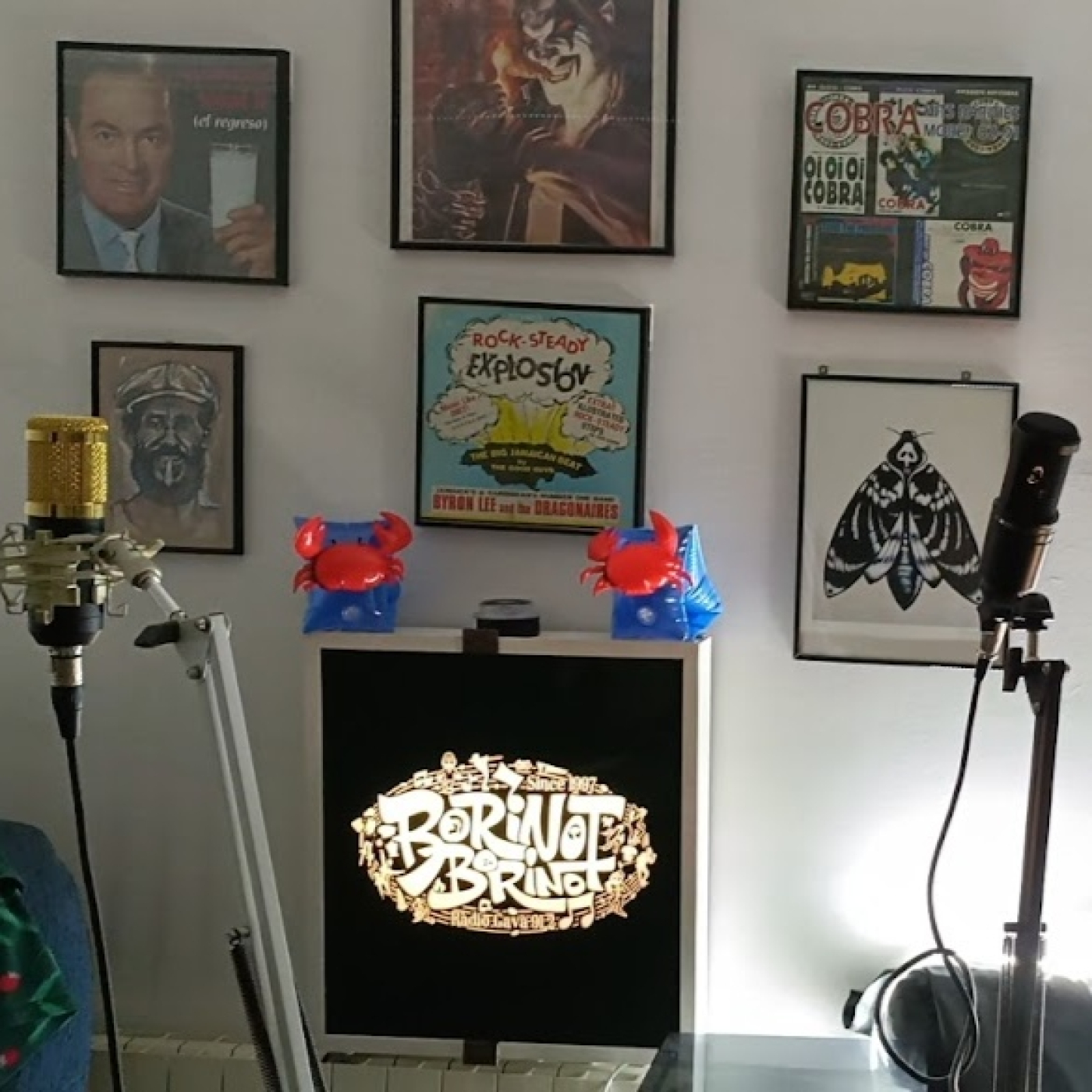 Podcast Borinot Borinot Ràdio Gavà