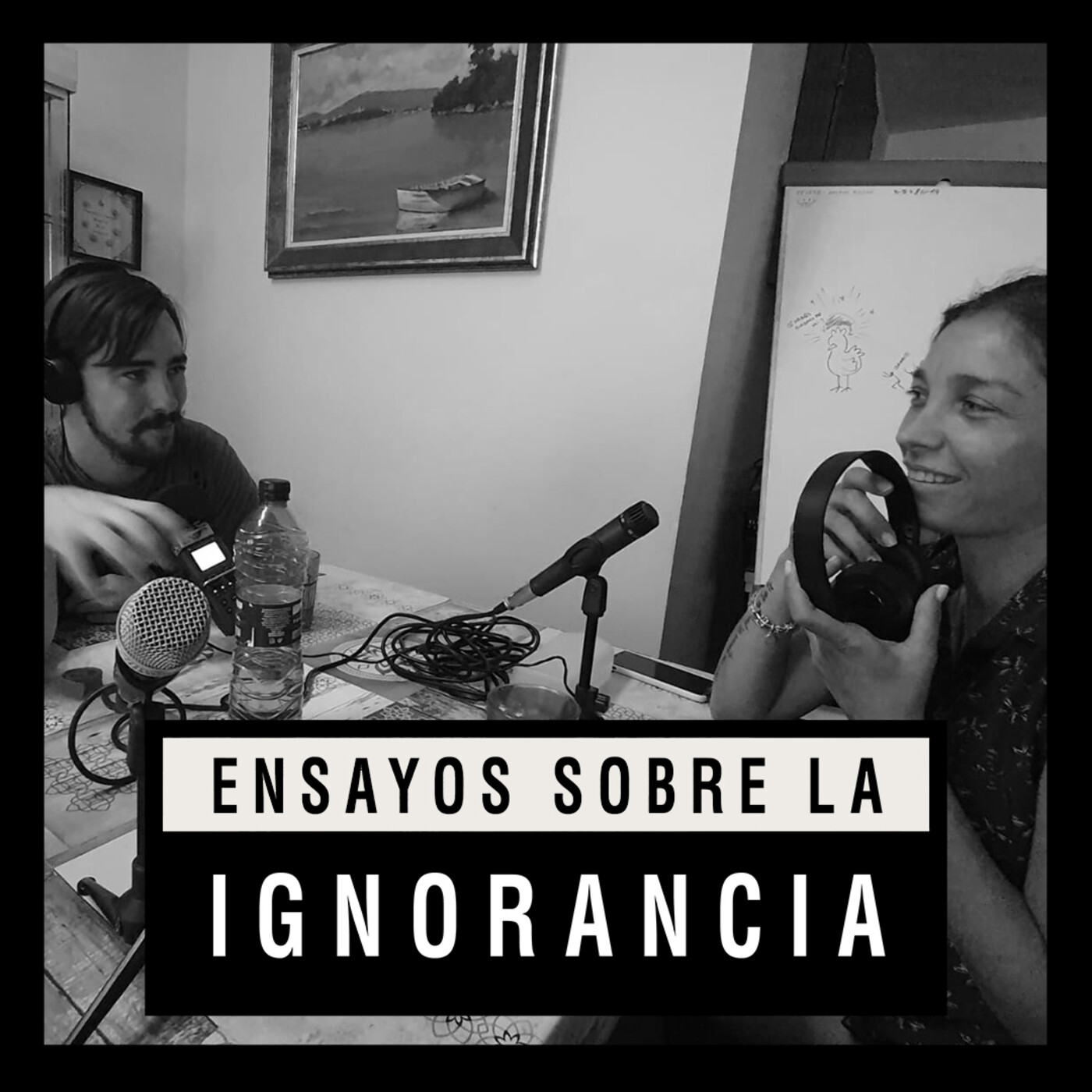 Ensayos sobre la ignorancia