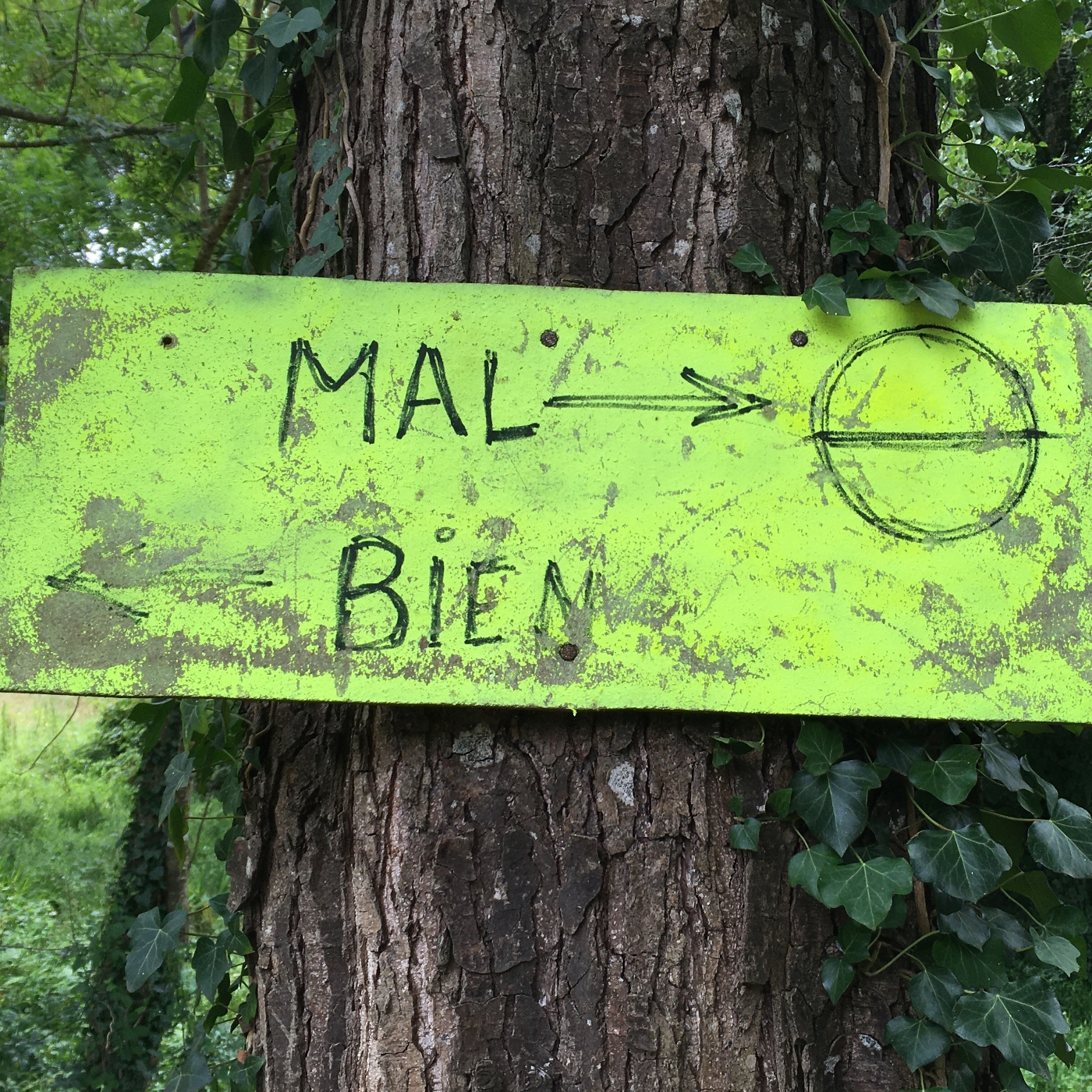 Cerca del río