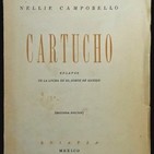 embed image