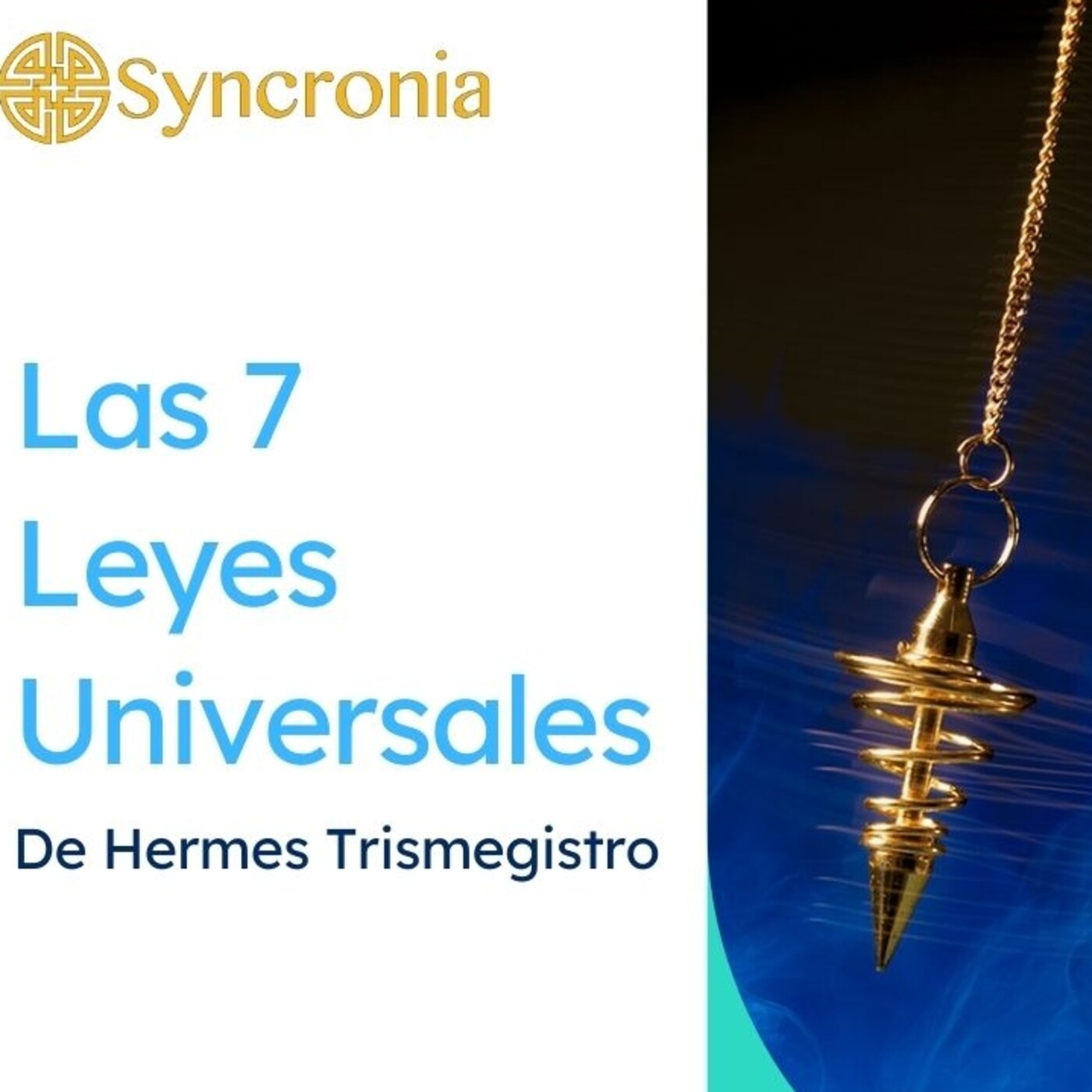 Charlas Syncronia