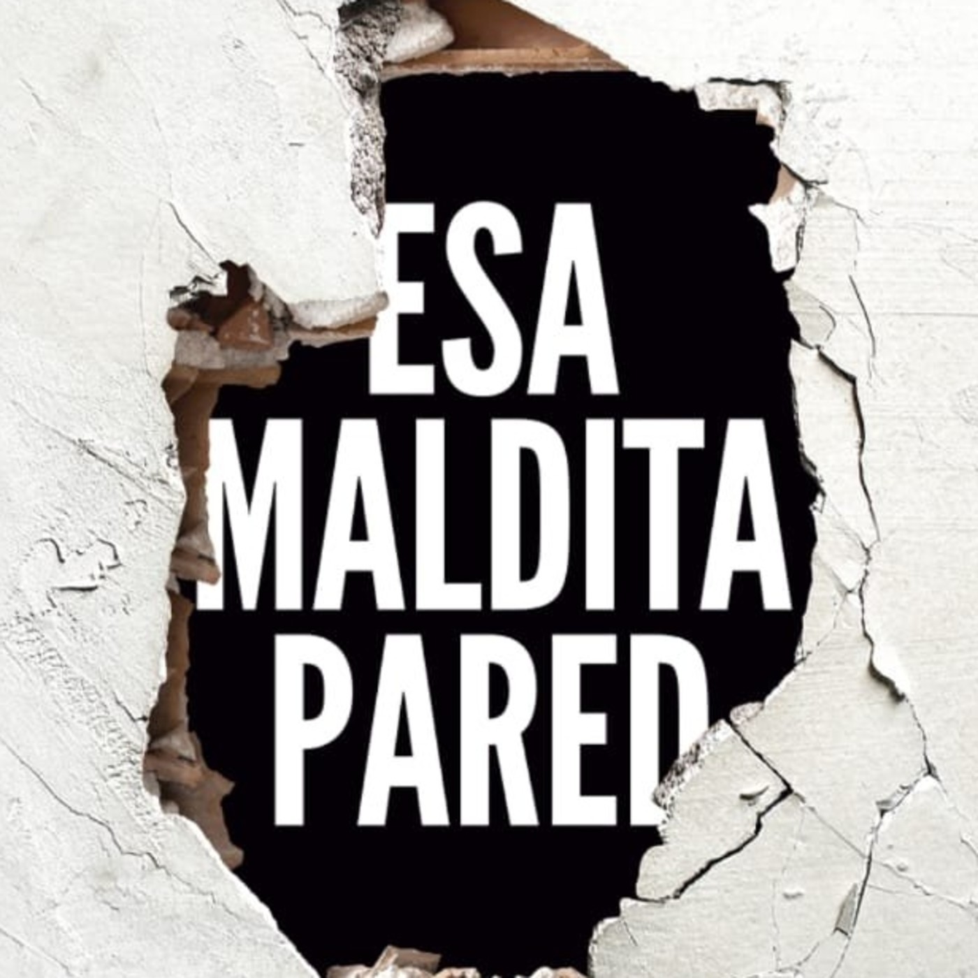 Esa Maldita Pared, Flako, Libros del KO