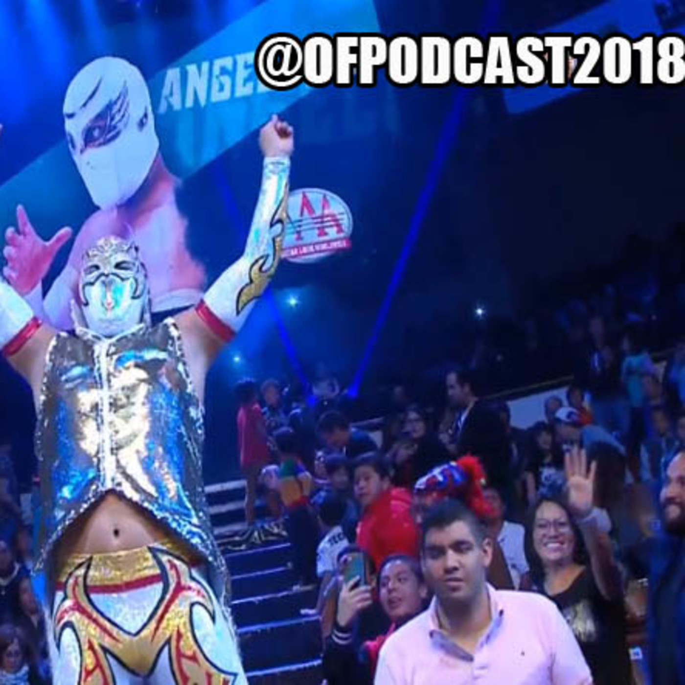 One Fall Podcast # 35 - Guerra de Titanes 2018 Parte II episode artwork