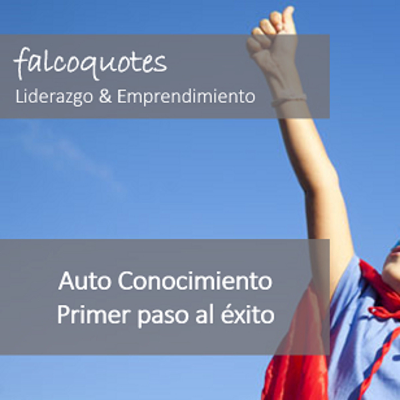 Falcoquotes: Emprendimiento Y Liderazgo