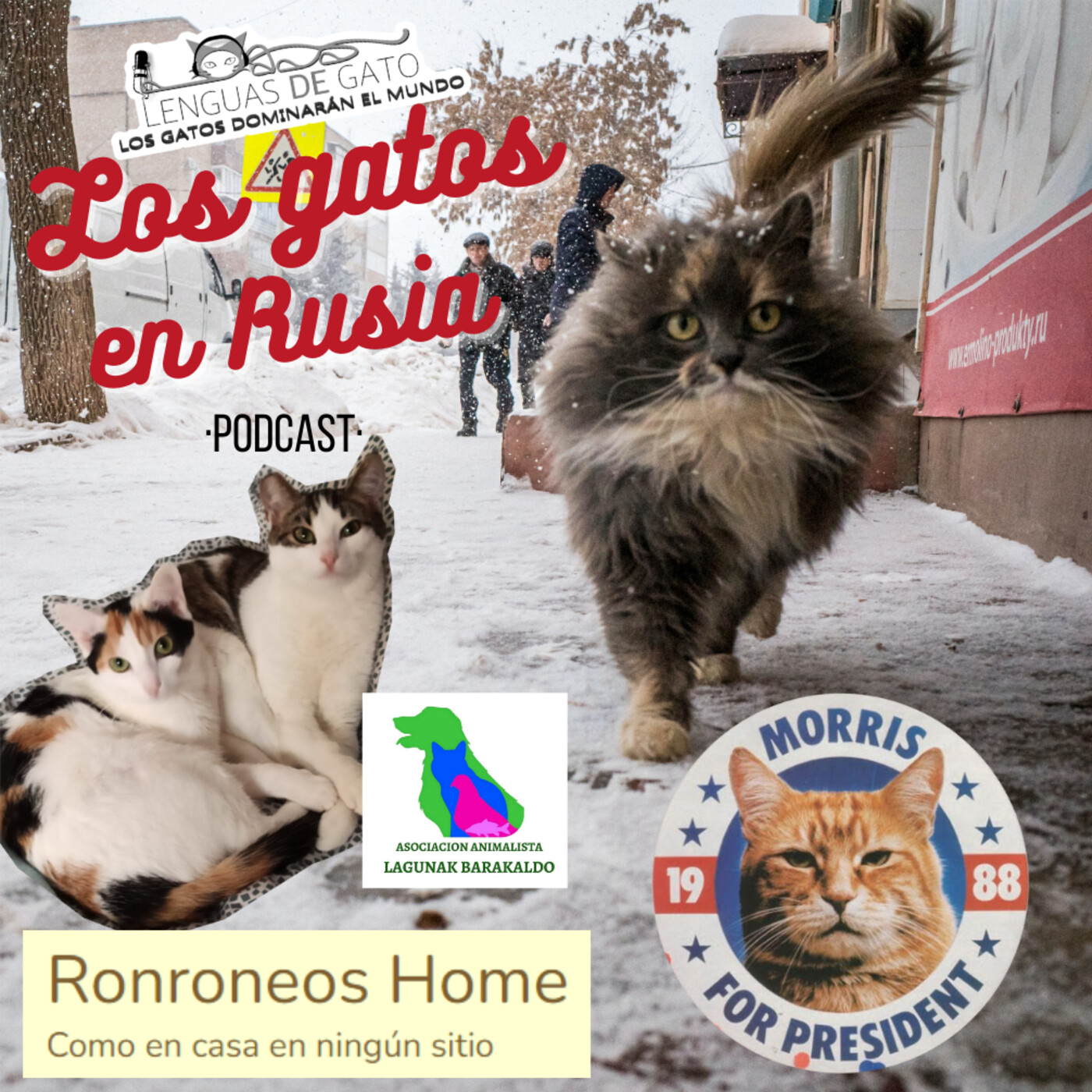 LOS GATOS DOMINARÁN EL MUNDO