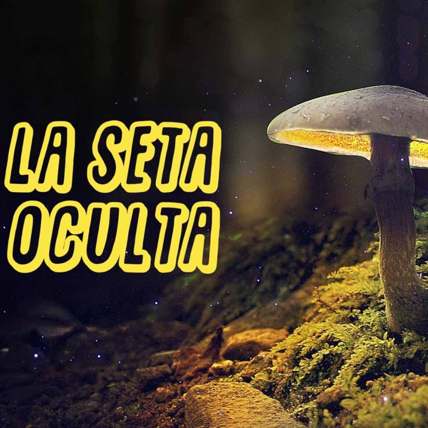 La Seta oculta