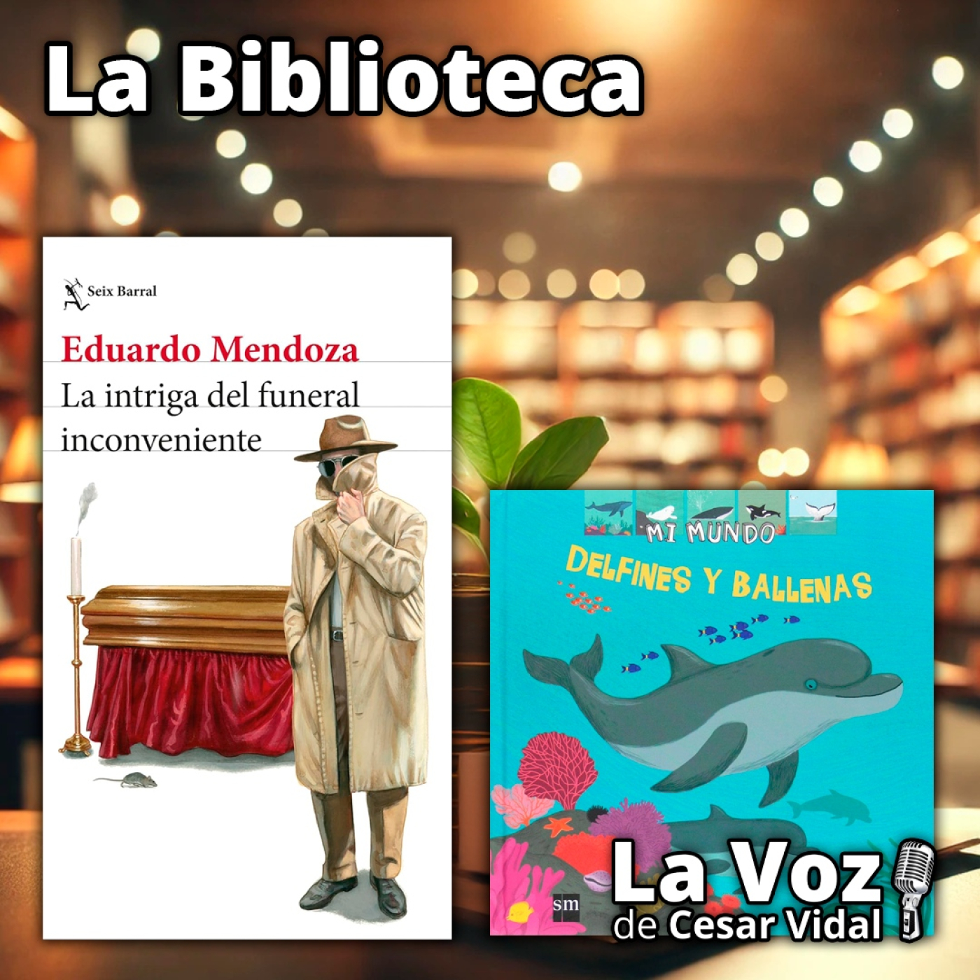 La Biblioteca: "La intriga del funeral inconveniente" y "Delfines y ballenas" - 09/07/26 episode artwork