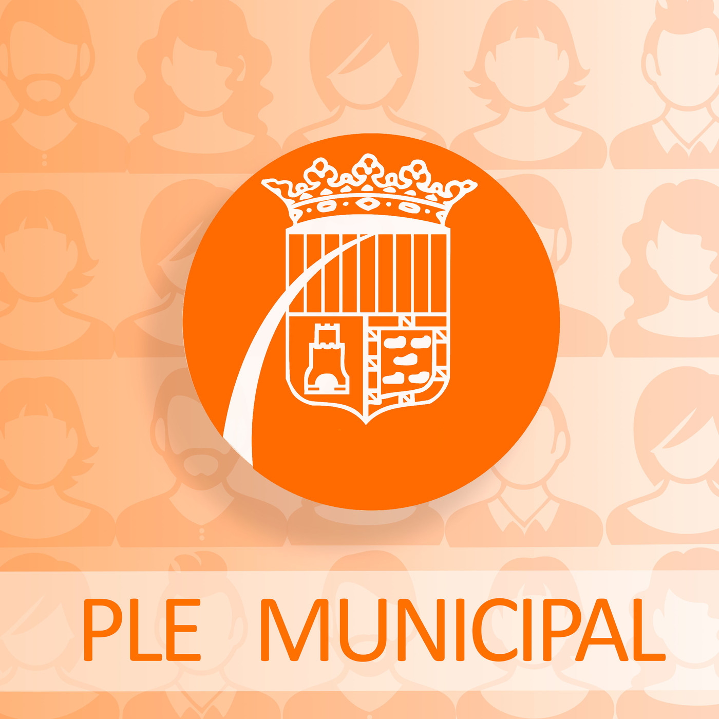 Ple municipal de gener 2020. L'anàlisi episode artwork