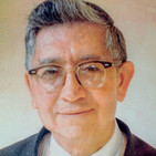 embed image