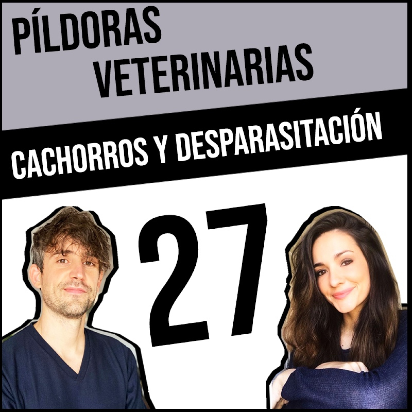 Píldoras Veterinarias
