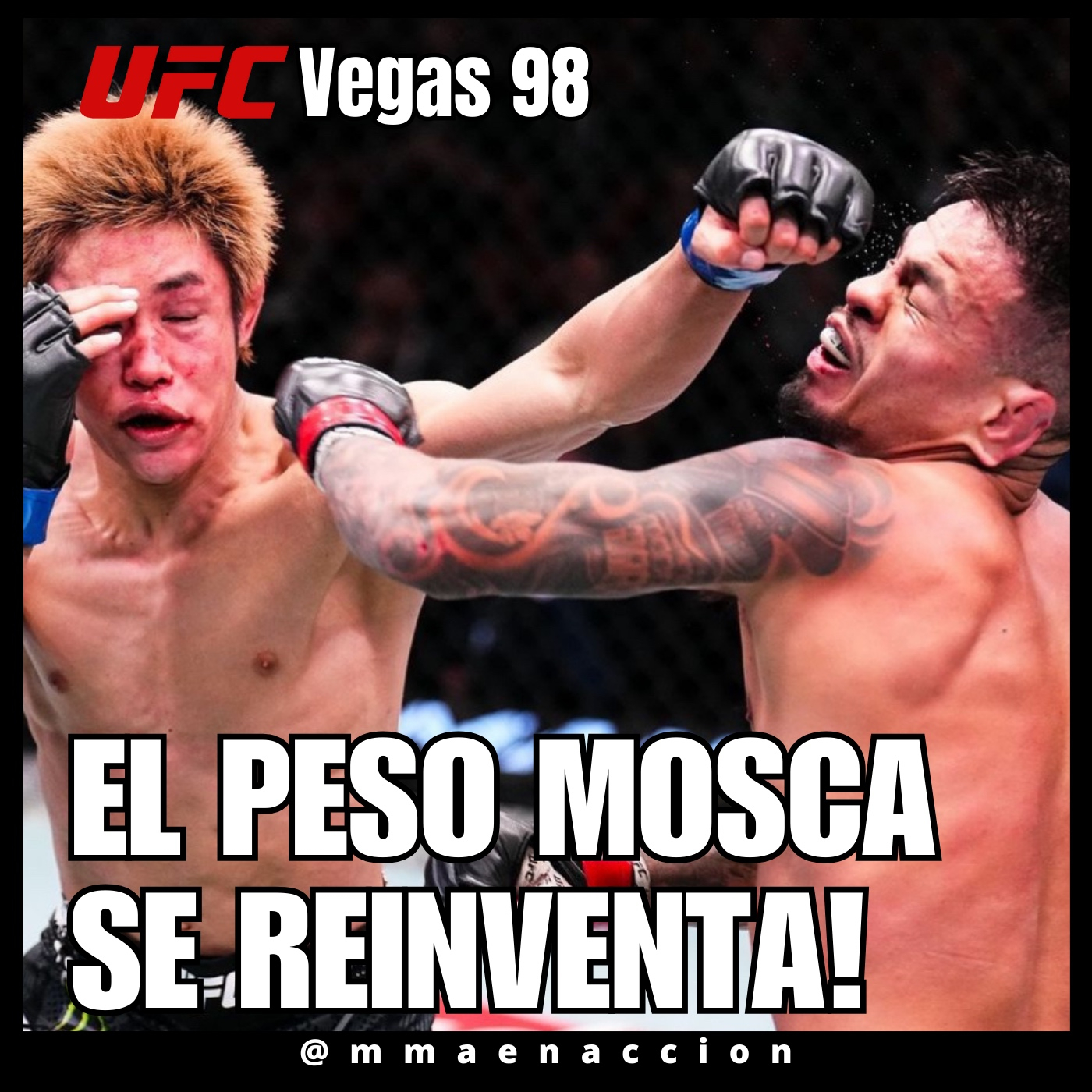 MMA en acción
