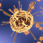 El sistema económico tras la crisis del coronavirus