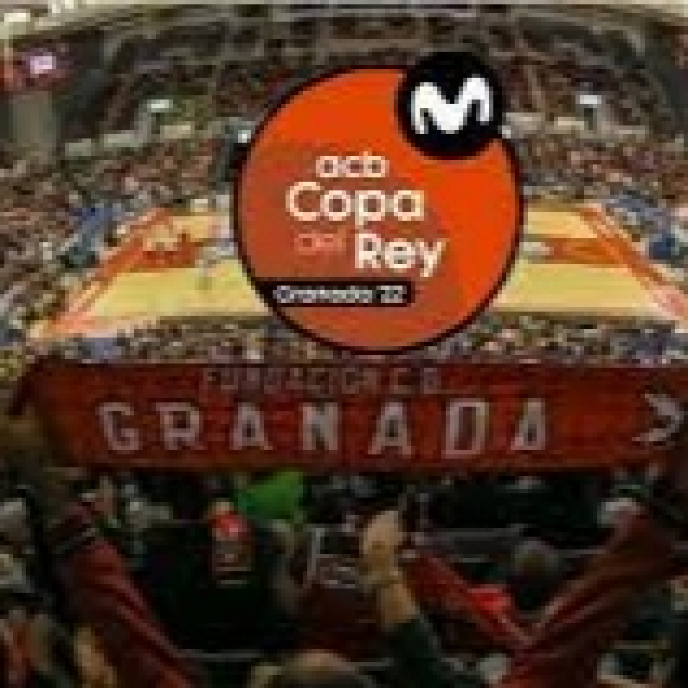 Pasión Por El Baloncesto