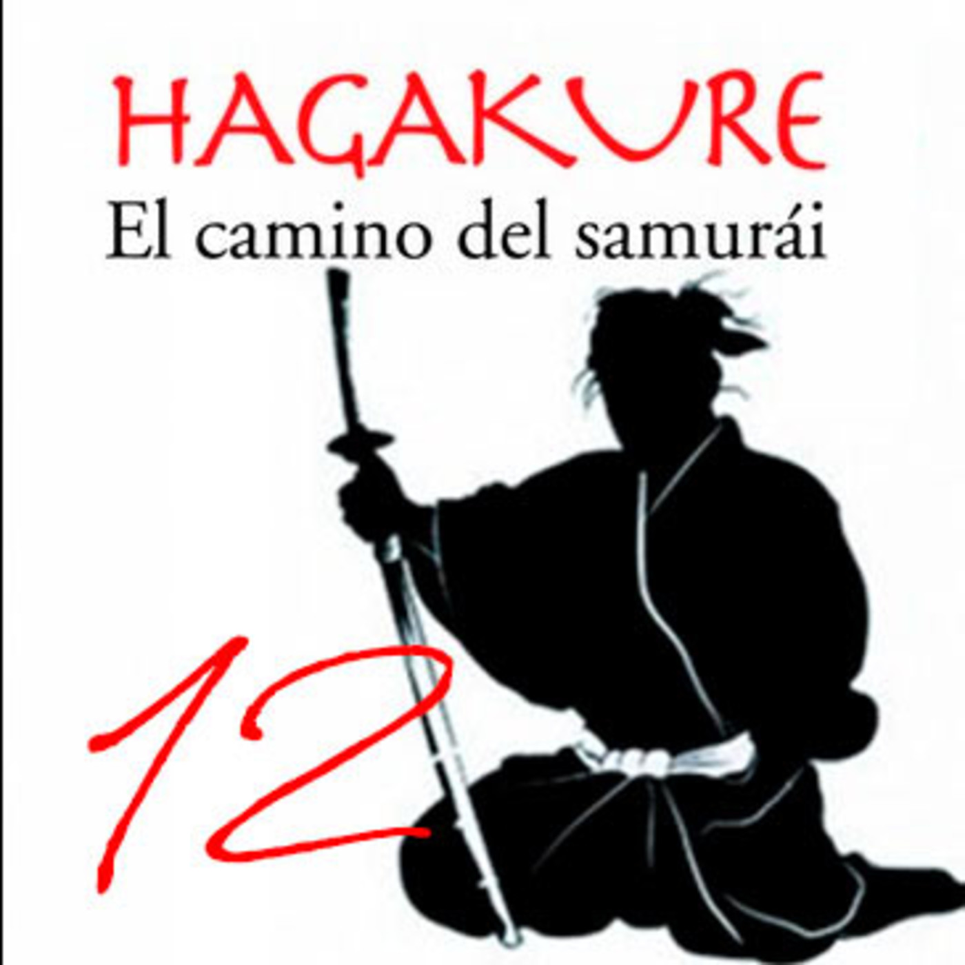 Dragonz | Artes Marciales y Deportes de Contacto